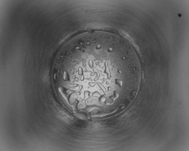 X0000072510249200607141139