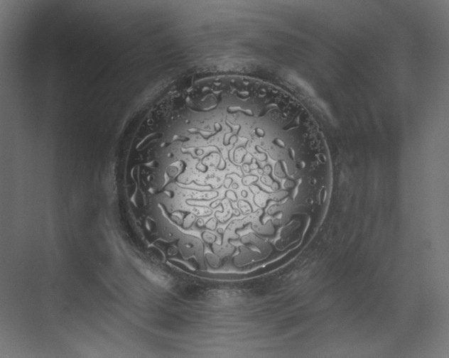 X0000072510250200607141139