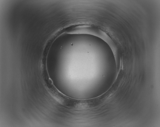 X0000072510252200607141139