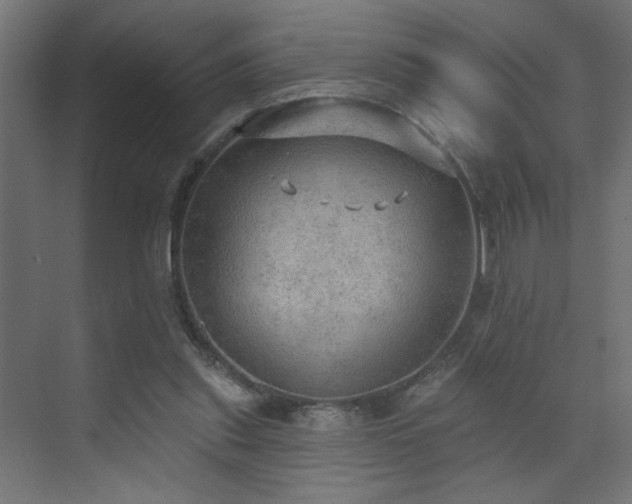 X0000072510253200607141139