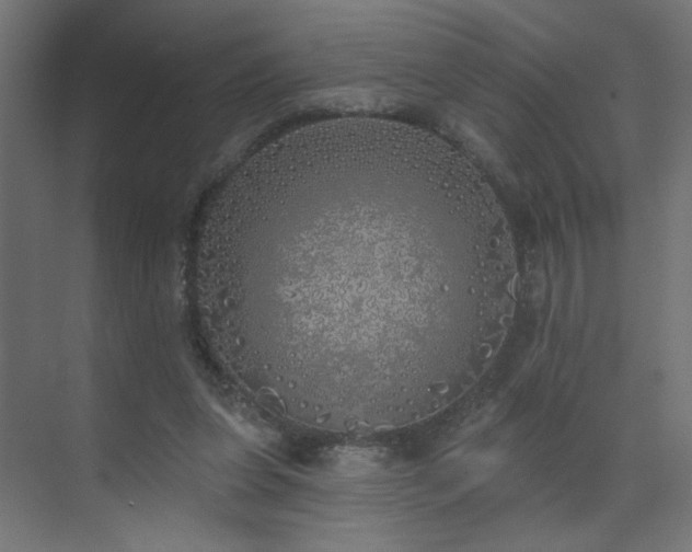 X0000072510255200607141139