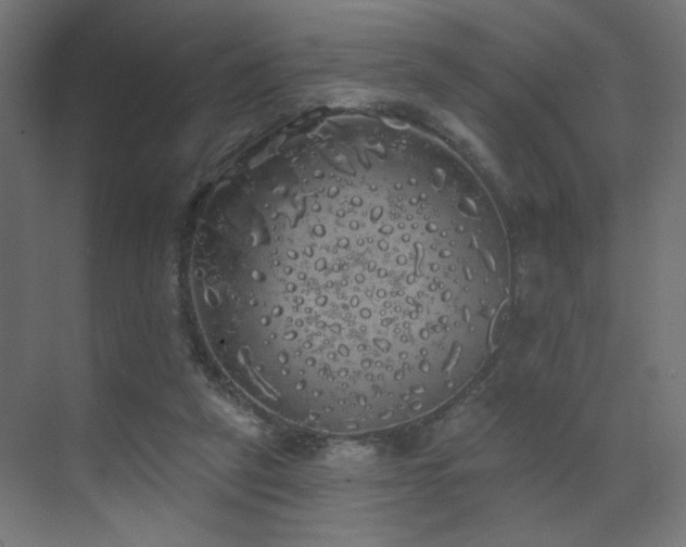 X0000072510257200607141139