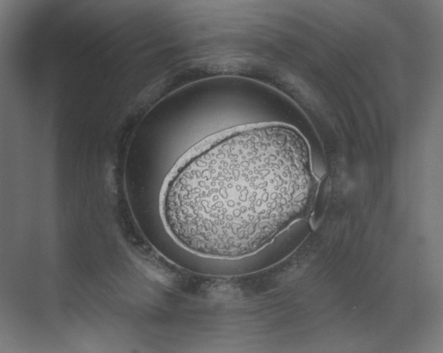 X0000072510258200607141139