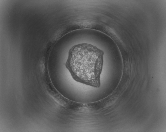 X0000072510259200607141139