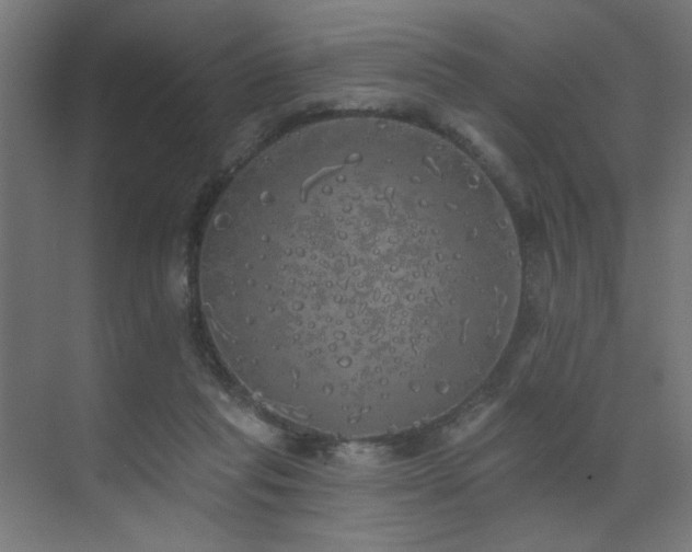 X0000072510261200607141139