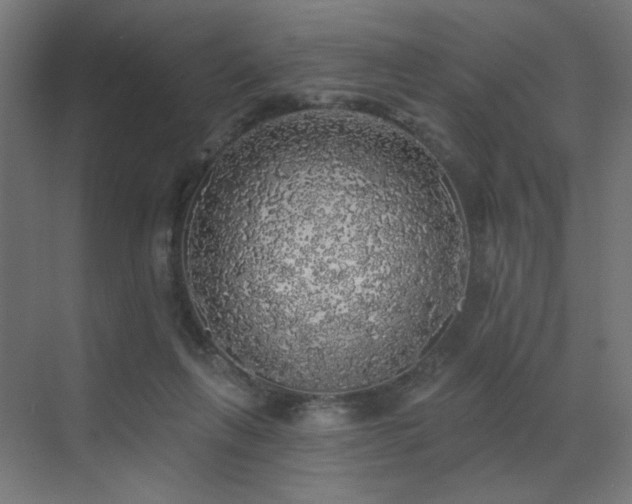 X0000072510263200607141139