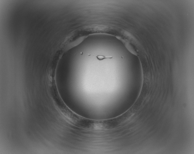 X0000072510264200607141139