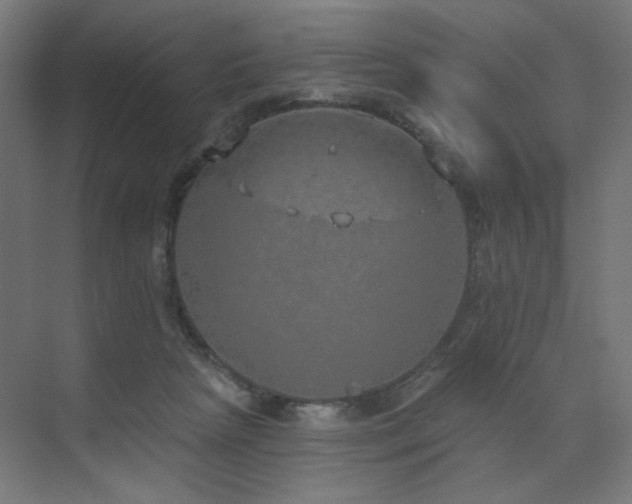 X0000072510265200607141139