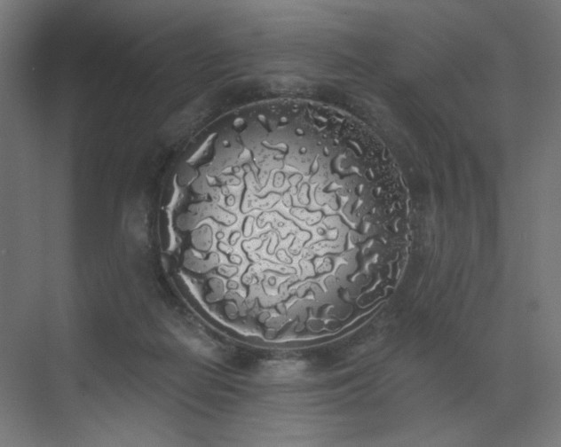 X0000072510266200607141139