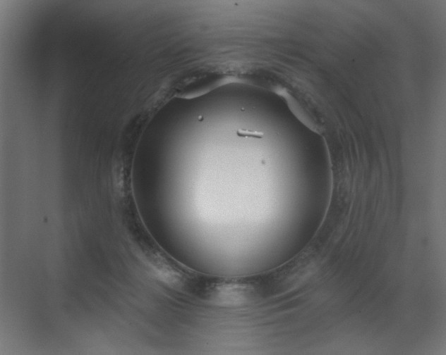 X0000072510268200607141140