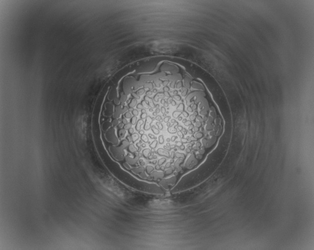 X0000072510271200607141140