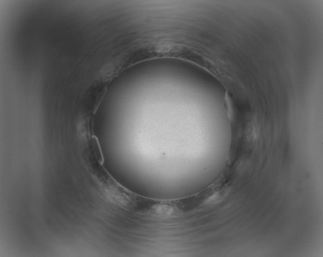 X0000072510272200607141140