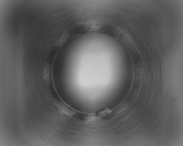 X0000072510274200607141140