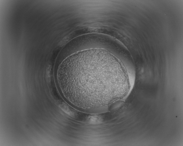 X0000072510275200607141140