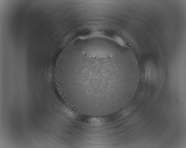 X0000072510277200607141140