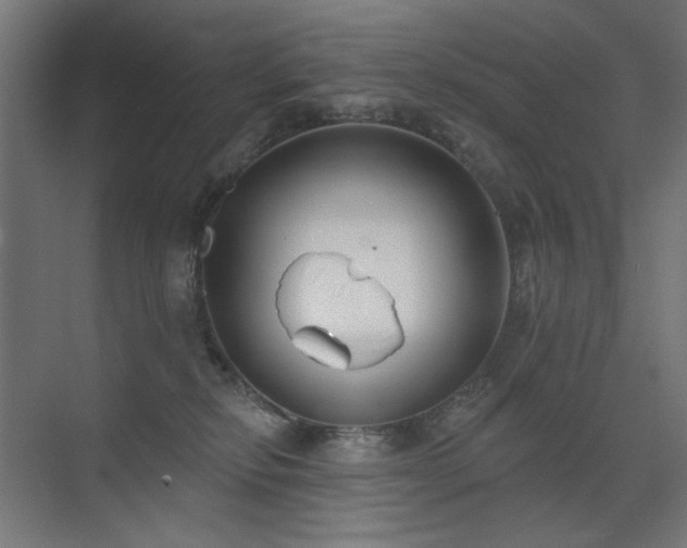 X0000072510278200607141140