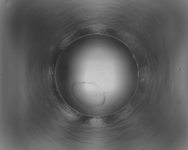 X0000072510279200607141140