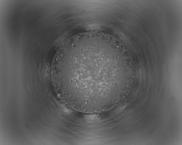 X0000072510281200607141140