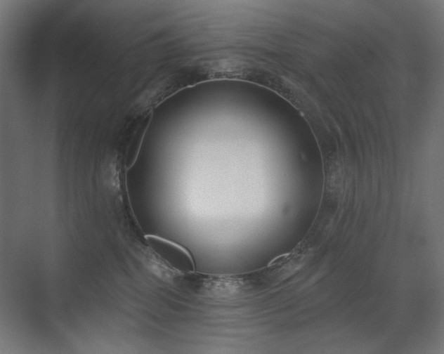 X0000072510282200607141140