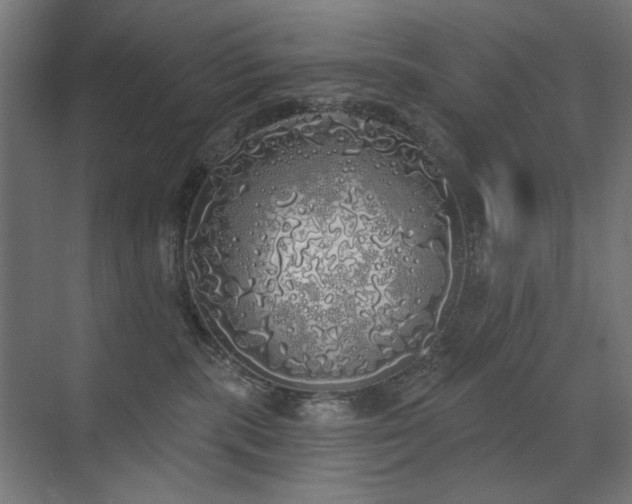 X0000072510283200607141140