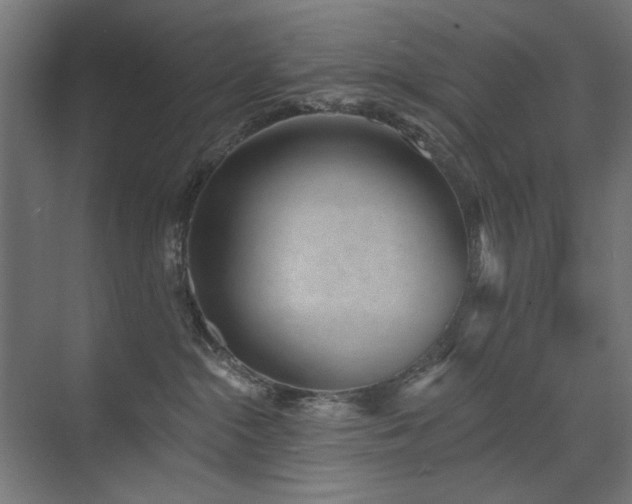 X0000072510284200607141140