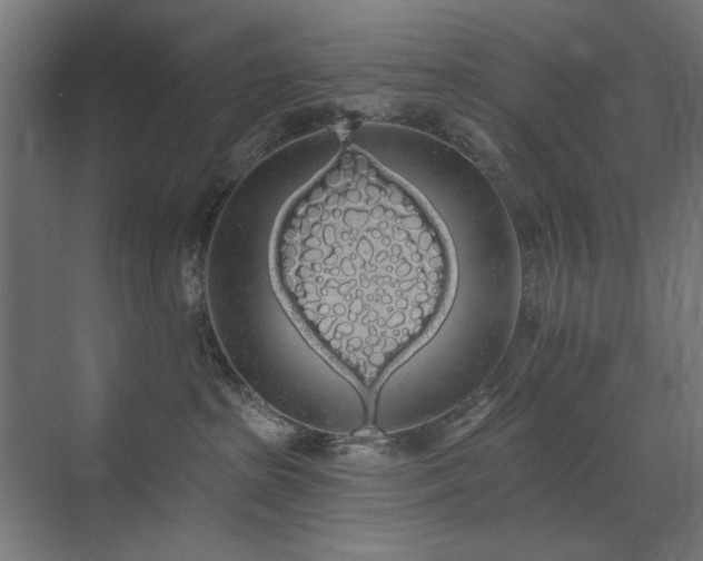 X0000072510285200607141140