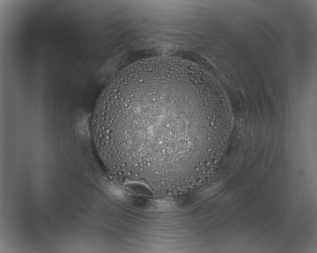 X0000072510286200607141140