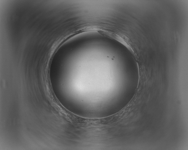 X0000072510289200607141139