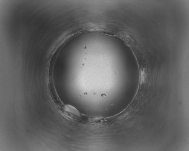 X0000072510291200607141139