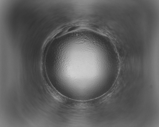 X0000072510293200607141139