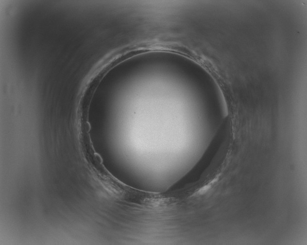 X0000072510295200607141139