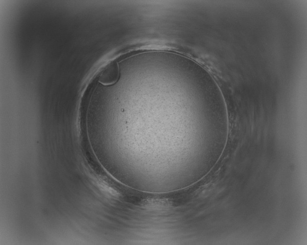 X0000072510296200607141139