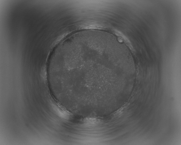 X0000072510298200607141139