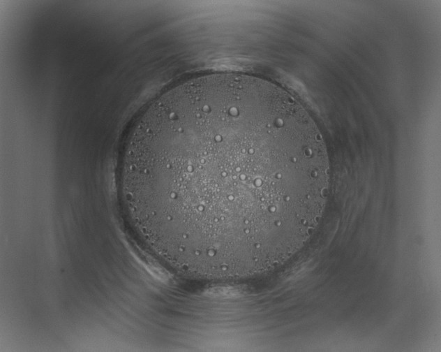 X0000072510299200607141139