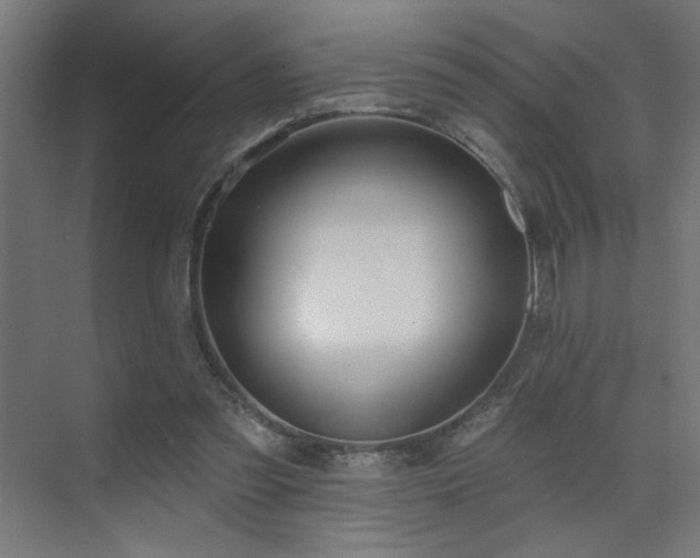 X0000072510301200607141139