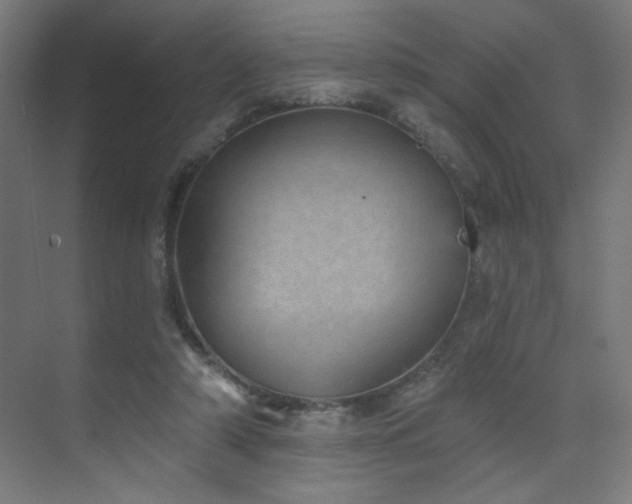 X0000072510306200607141139