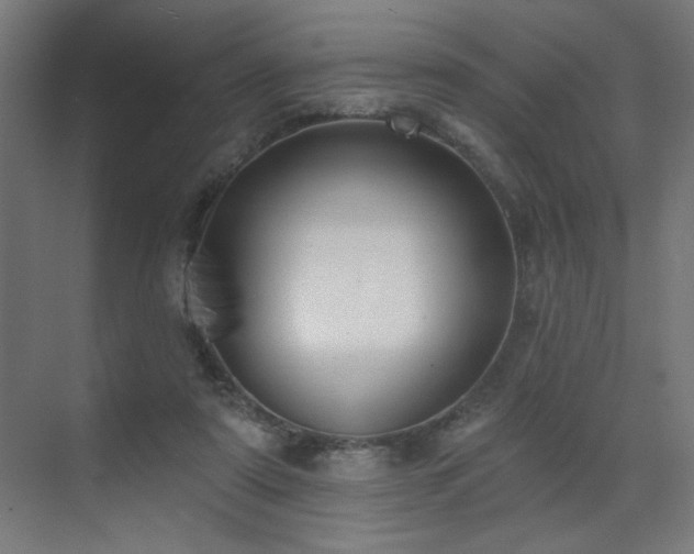 X0000072510307200607141139