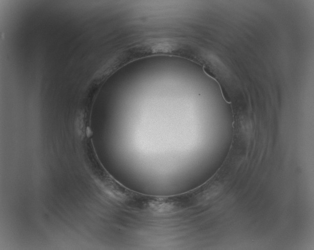 X0000072510311200607141139