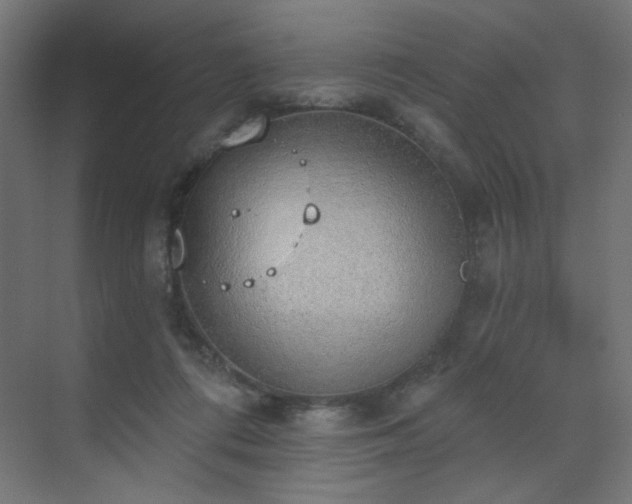 X0000072510312200607141139