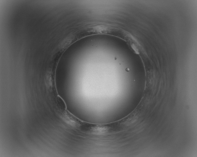 X0000072510313200607141139