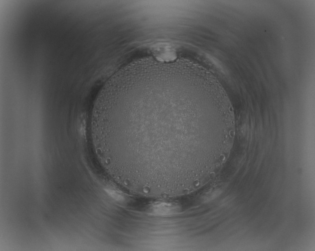 X0000072510315200607141139