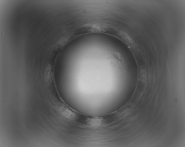 X0000072510318200607141139