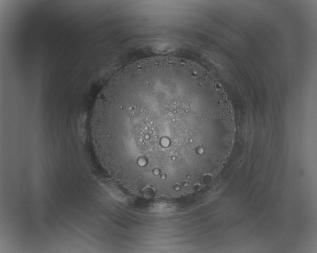 X0000072510319200607141139