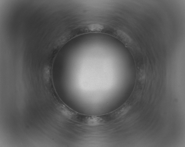 X0000072510321200607141139