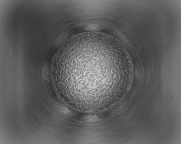 X0000072510322200607141139