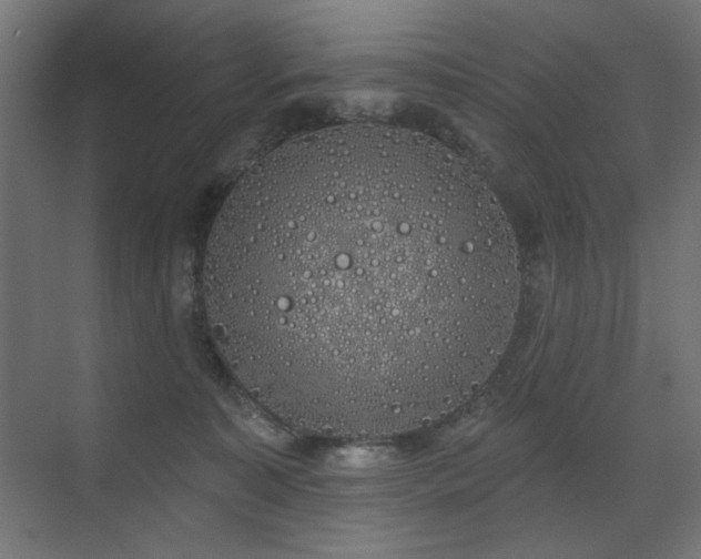 X0000072510323200607141138