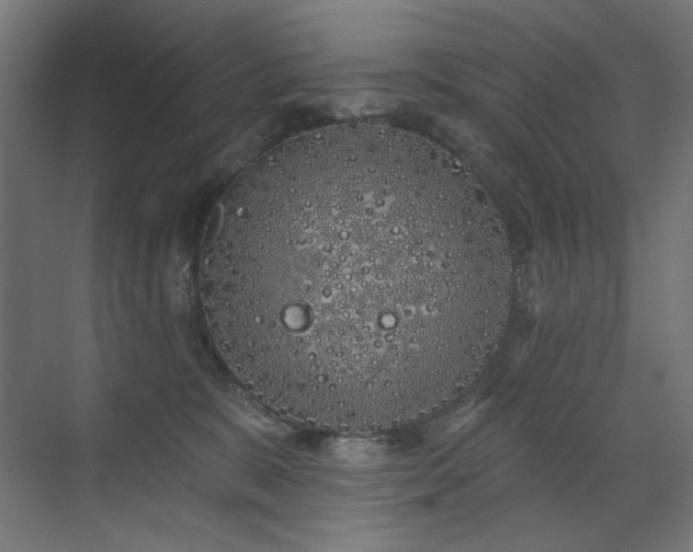 X0000072510327200607141138