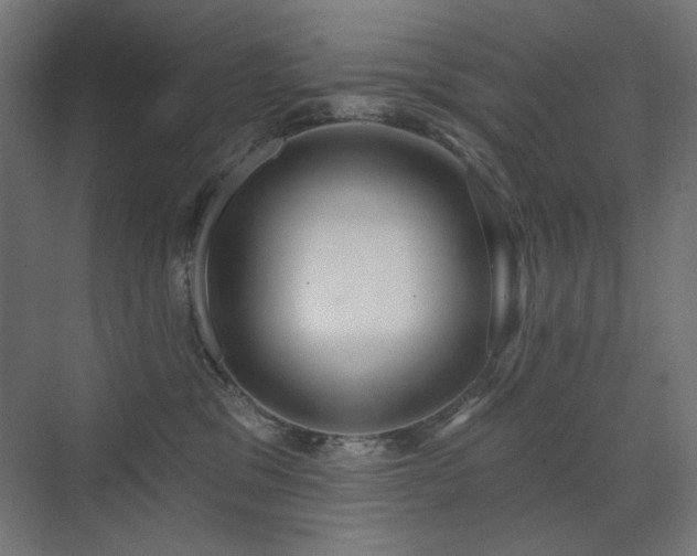 X0000072510329200607141138