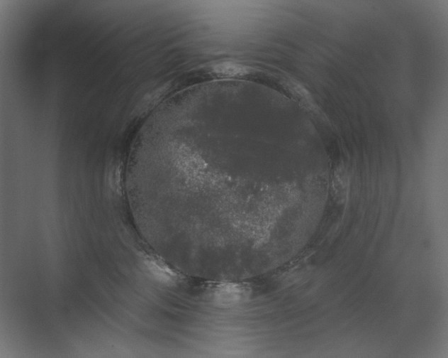 X0000072510330200607141138