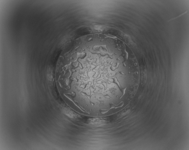 X0000072510331200607141138